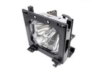 AN-P25LP Projector Lamp images