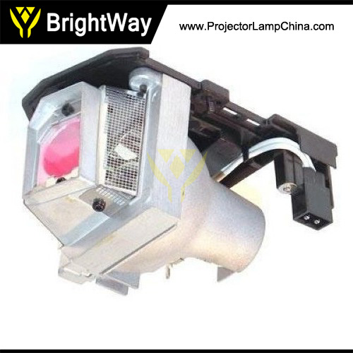 317-2531,725-10193 Projector Lamp Big images