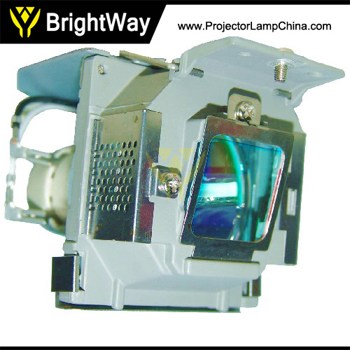 9E.Y1301.001 Projector Lamp Big images