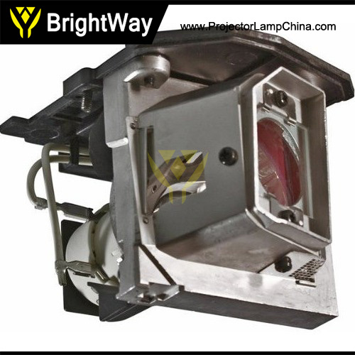 SP.8LG01GC01,BL-FU185A,SP.8EH01GC01 Projector Lamp Big images