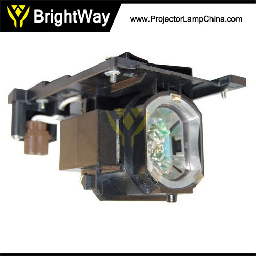DT01051 Projector Lamp Big images
