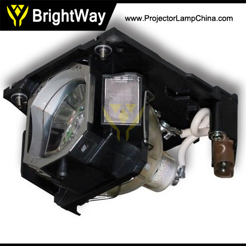 DT01141 Projector Lamp Big images