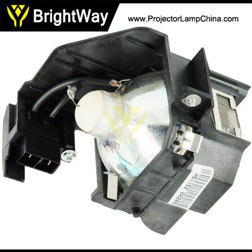 V13H010L36,ELPLP36 Projector Lamp Big images