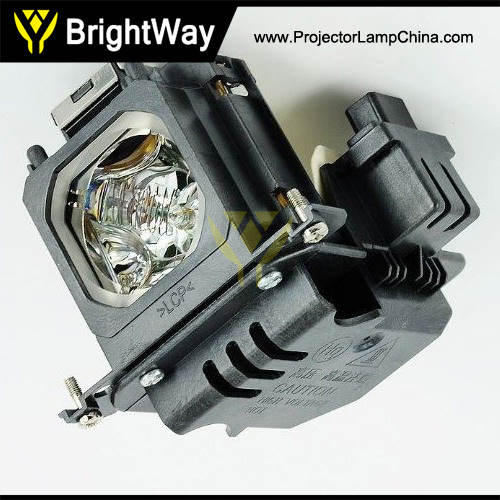 6103445120,610-336-5404,LMP114 Projector Lamp Big images