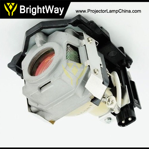 LT30LP Projector Lamp Big images