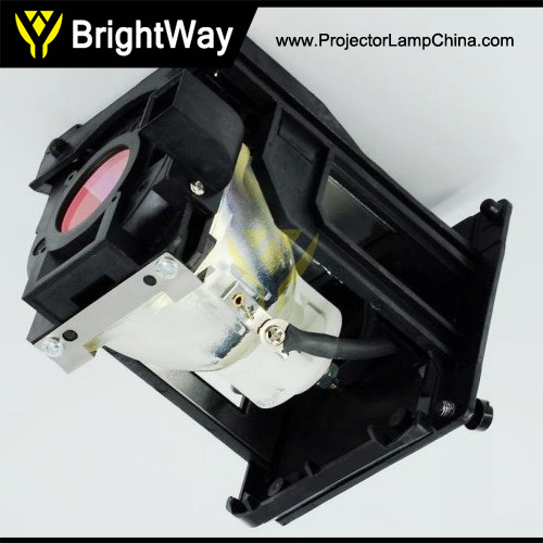 LT60LPK Projector Lamp Big images