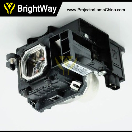 NP-M230X Projector Lamp Big images