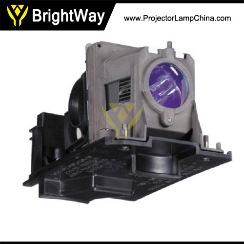 V311W Projector Lamp Big images