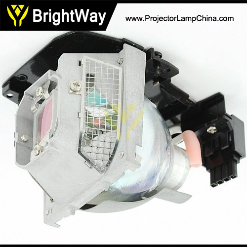 TLPLP8 Projector Lamp Big images