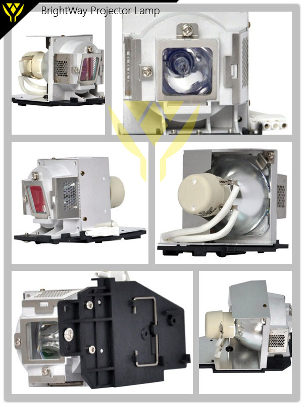 5J.J0T05.001 Projector Lamp Big images