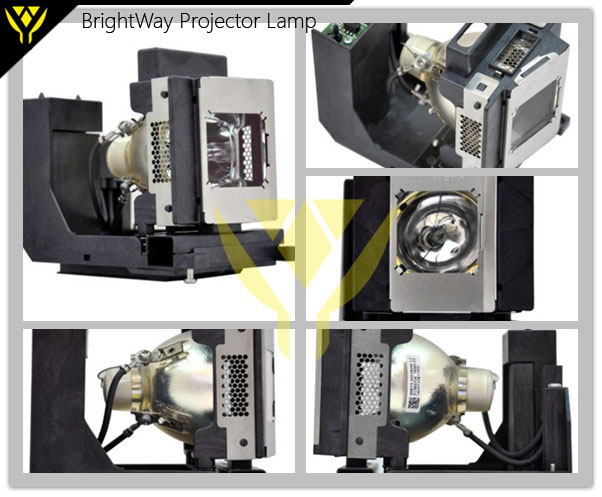 PDG-DET100L Projector Lamp Big images