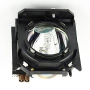 PANASONIC TH-DW10000 Projector Lamp images