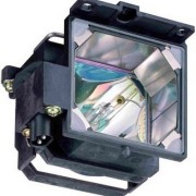 VPL-HS2 Projector Lamp images