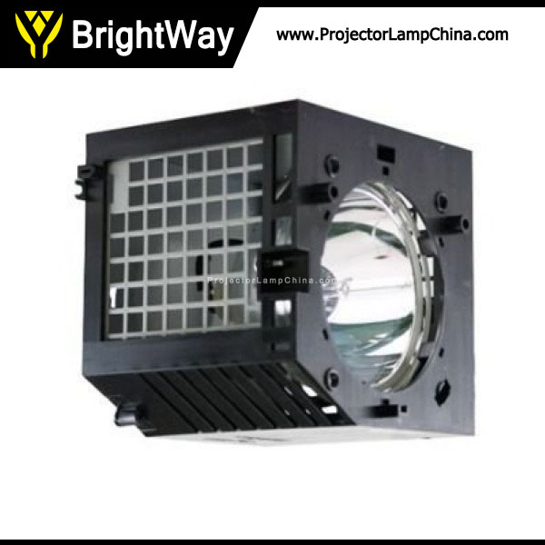 Replacement Projector Lamp bulb for ZENITH RU44SZ61D
