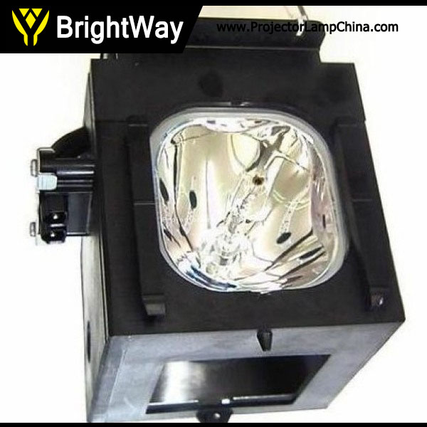 Replacement Projector Lamp bulb for SAMSUNG SP50L2HXX/RAD