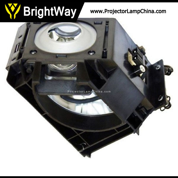 Replacement Projector Lamp bulb for SAMSUNG SP-D50L6HD