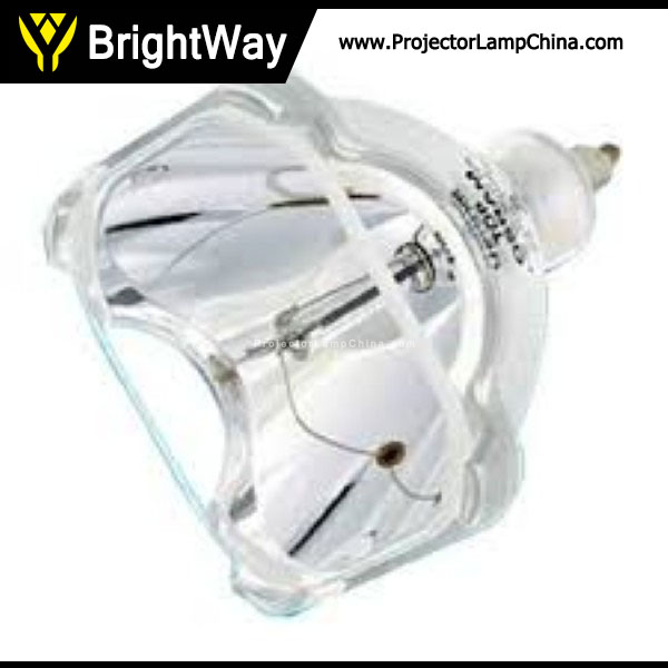 TV67 Projector Lamp Big images