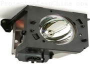 SAMSUNG HLN4674W Projector Lamp images