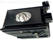 SAMSUNG HLR5064W Projector Lamp images