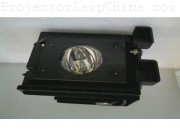 SAMSUNG HLR6178WX/XAA Projector Lamp images