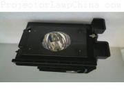 SAMSUNG PT50DL14X/SMS Projector Lamp images