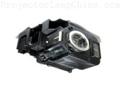 EPSON PowerLite 825 Projector Lamp images