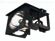 TV103 Projector Lamp images